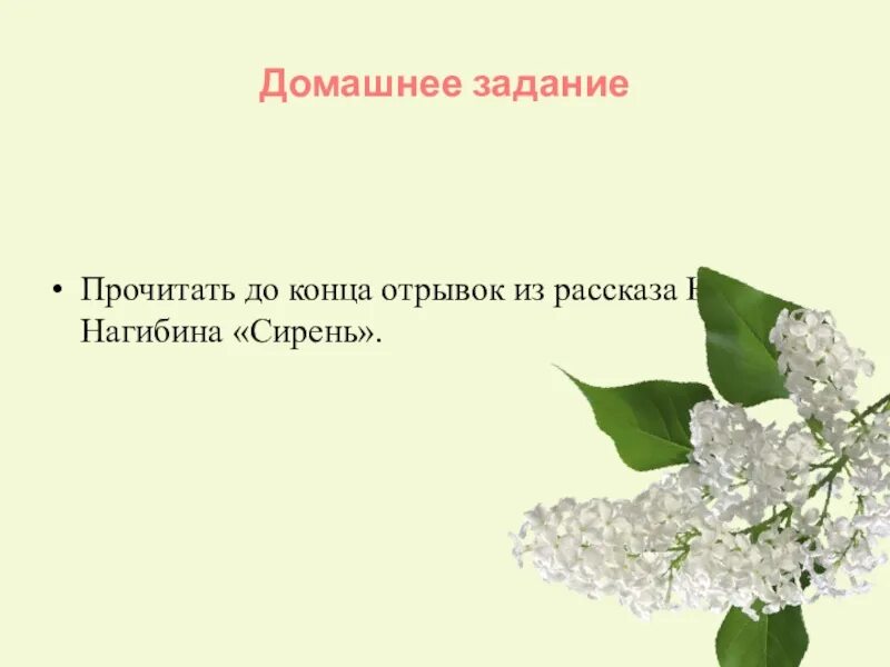 Романс отрывок. Романс Рахманинова сирень. Отрывок рассказа " сирень" ю.Нагибина. Отрывок из рассказа Нагибина сирень. Рассказ ю.Нагибина сирень.