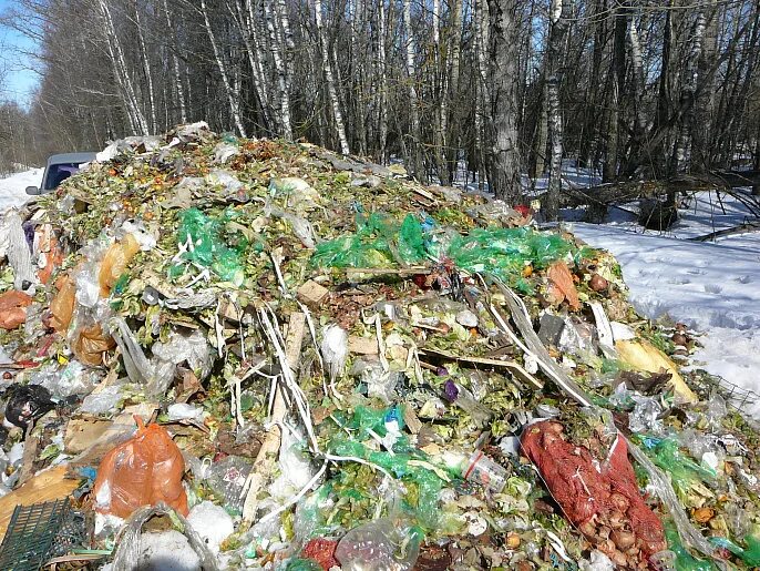 Свалка в Туле. Экология Тульской области.