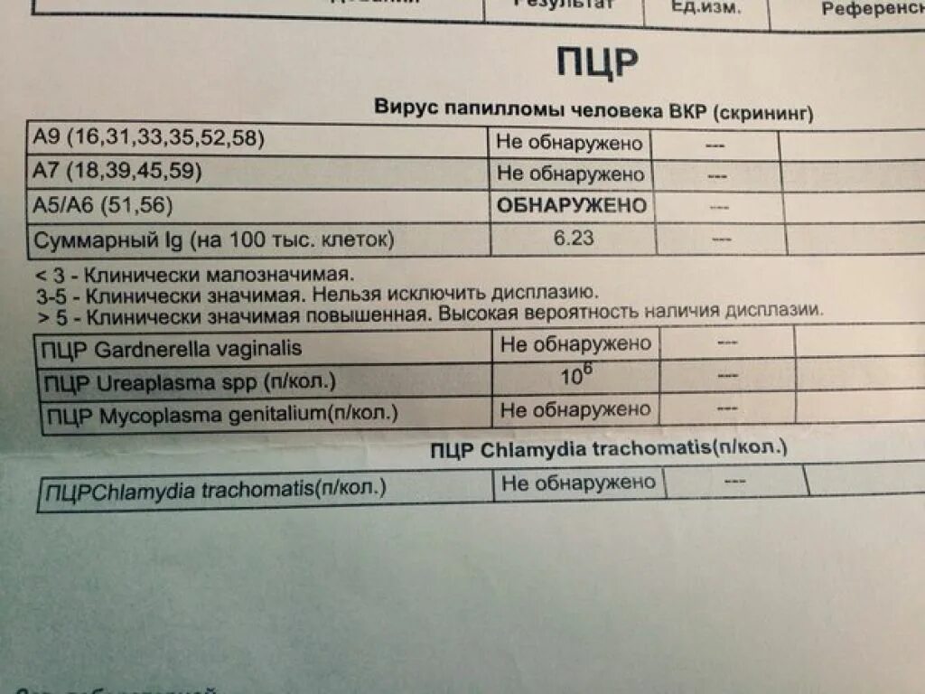 Какие анализы сдавать мужчине после 50 лет. ПЦР уреаплазма уреалитикум. Нормы вируса папилломы человека методом ПЦР. ПЦР исследование мазка у женщин. Результат ПЦР исследования.