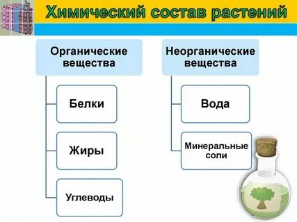 Схема по химии вещества