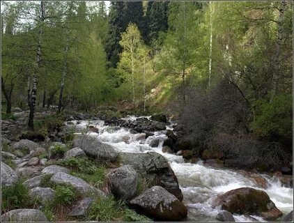 Алмарасан