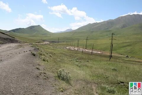 Погода в кули на 3 дня