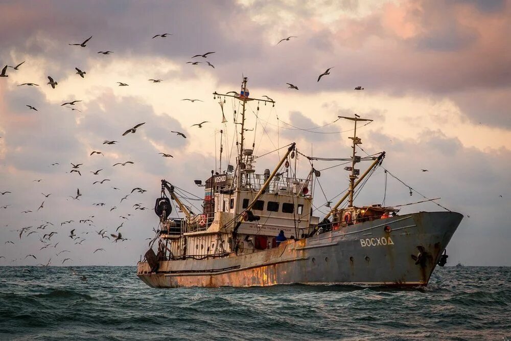 траулер баренцево море. корабли ловили. корабли ловили. рыболовецкое судно в черном море. рыбный промысел в азовском море.