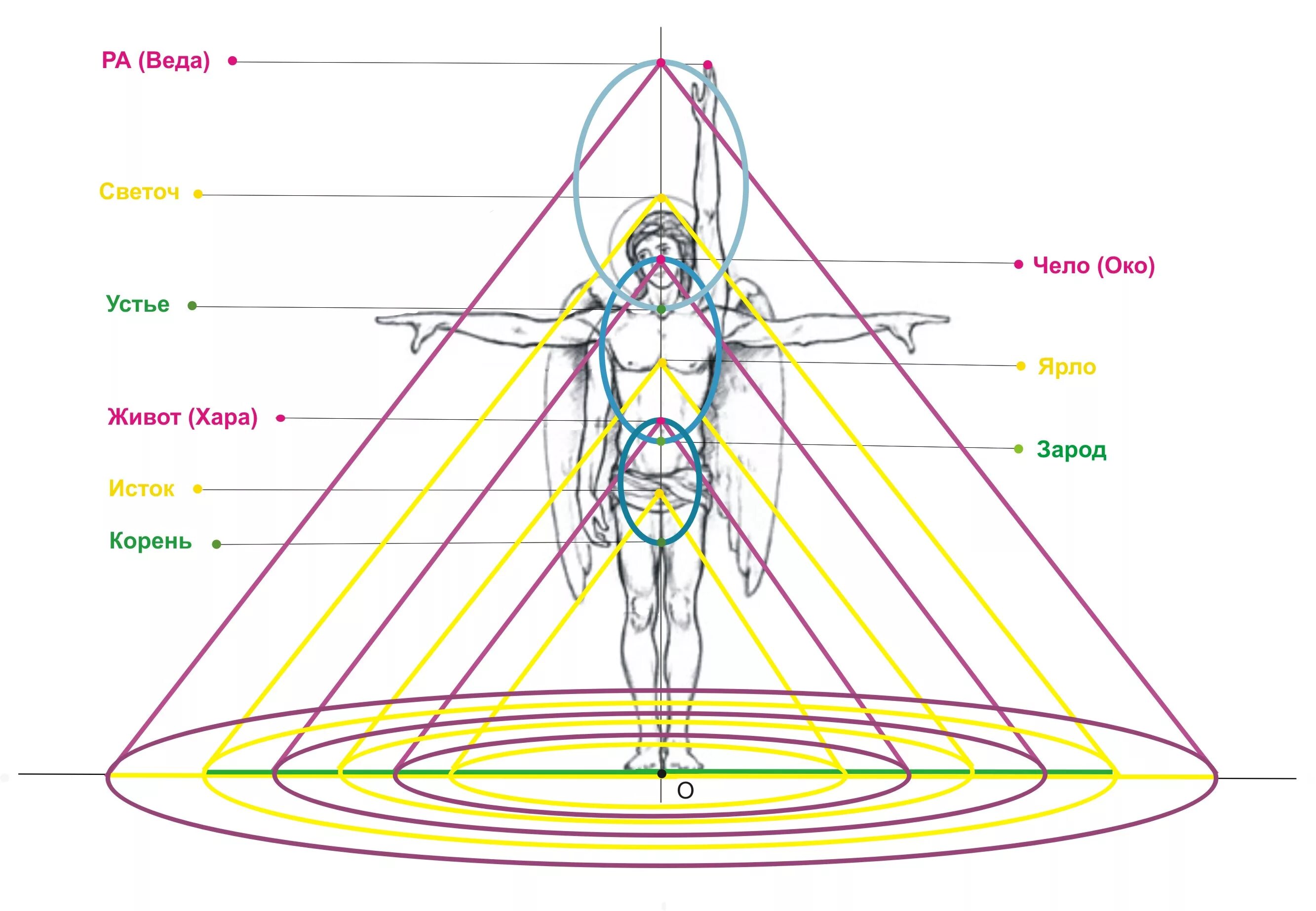 12 Чакровая энергетическая система славян схема. Энергетическая анатомия человека. Энергетическая структура человека. Энергетическое строение человека. Земля как тело человека