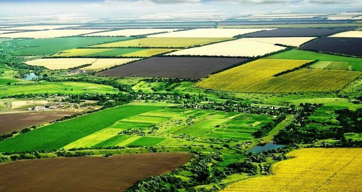 Зоны сельскохозяйственного использования. Территориальная зона сельскохозяйственных угодий. Агропромышленный комплекс станица архонская. Антропогенные ландшафты россии. Сельскохозяйственная зона 2.