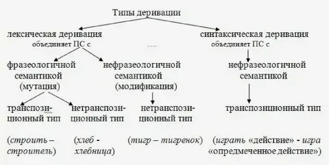 Транспозиция в оптике