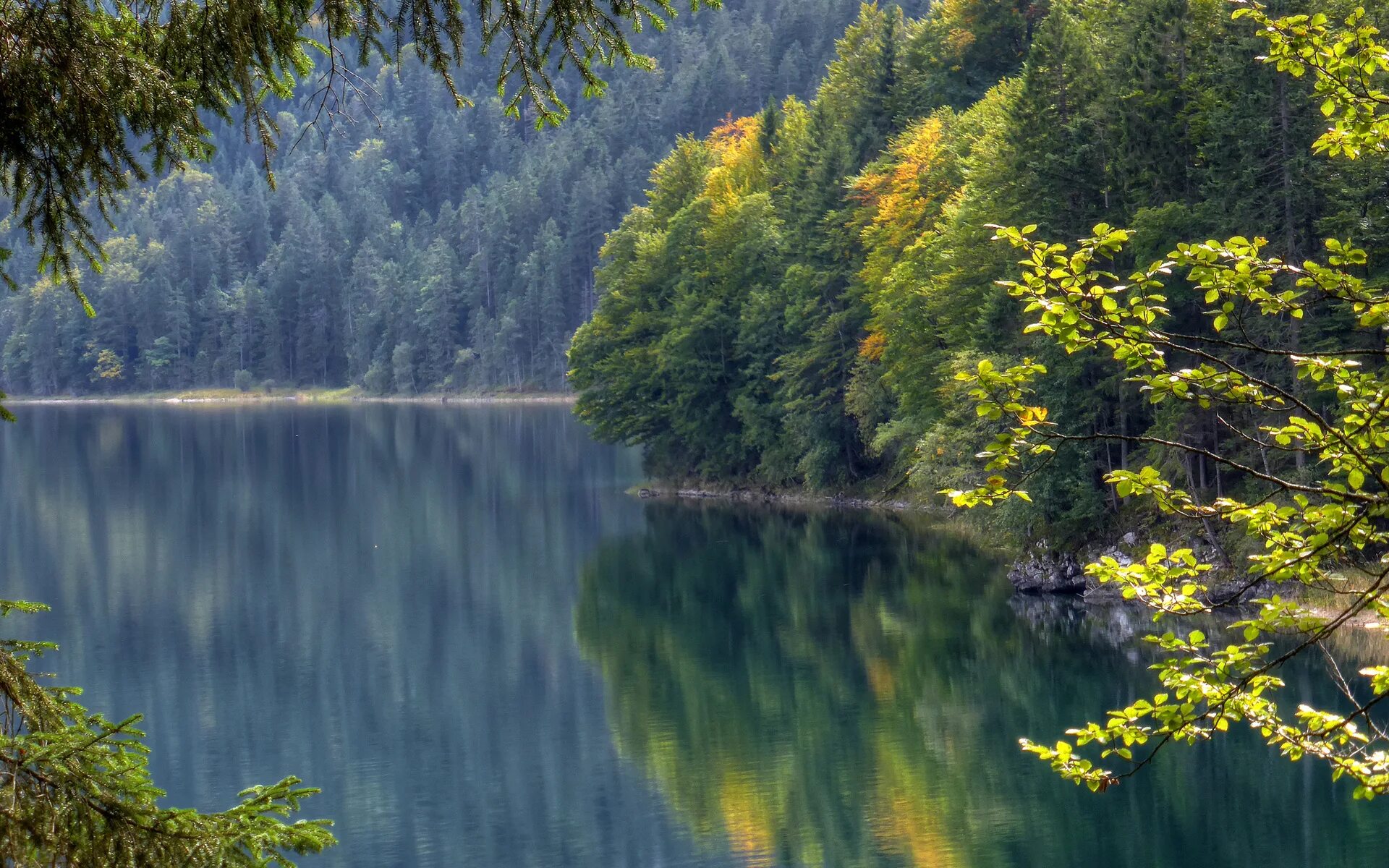 И тихая прозрачная вода. Озеро айбзее Германия. Eibsee озеро в Баварии. Шварцвальд озеро. Озеро Рица.