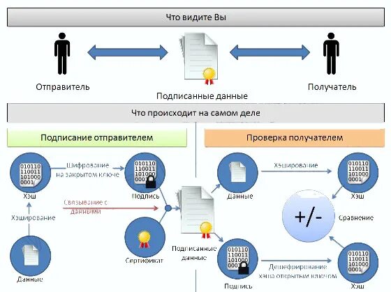 Проверка отправителя. Схема проверки электронной цифровой подписи. Схема получения ключа электронной подписи. Как работает проверка электронной подписи. Подписание эп схема.