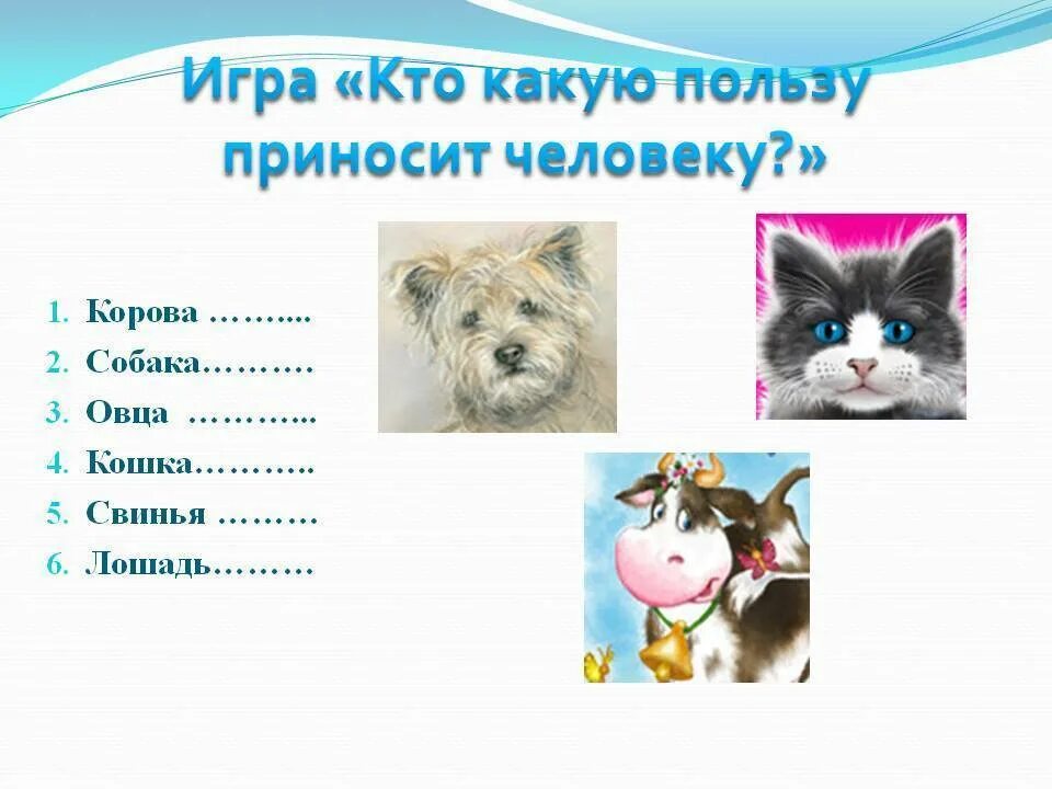 Что дает кошка человеку. Польза домашних животных. Польза кошки в доме. Какую пользу приносит кошка картинки для детей. Польза котят для детей.
