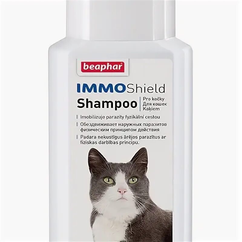 Каким шампунем можно мыть котенка