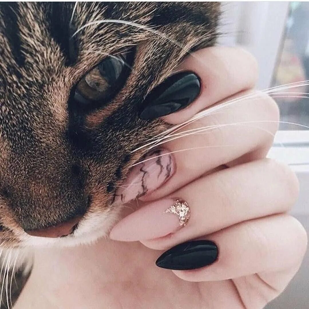 Наращивание кошачий. Ногти с котиками. Кошечка на ногтях. Красивый маникюр с кошками. Маникюр с кошками на короткие ногти.