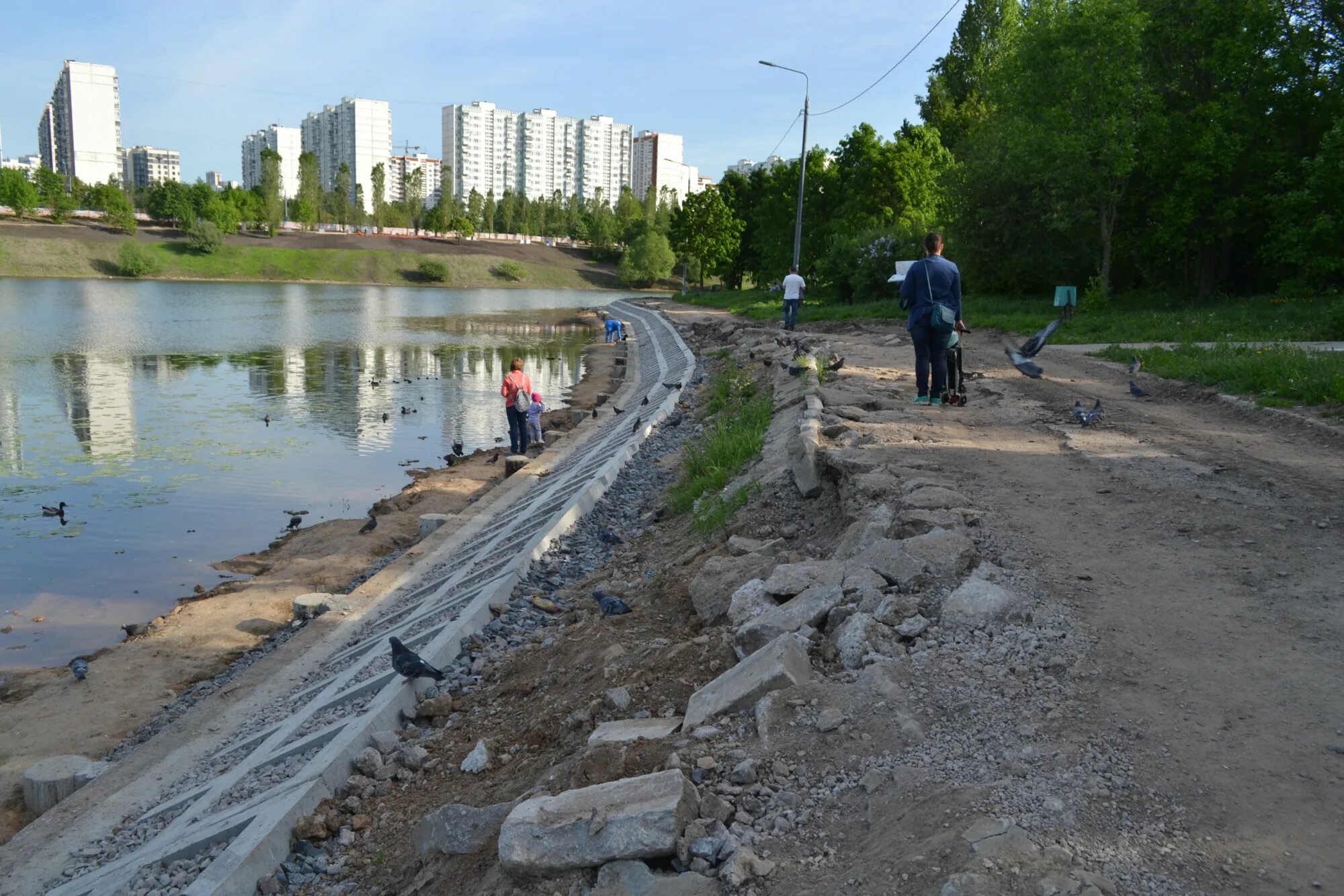 Базовский пруд очаково. Базовский пруд очаково. Большой очаковский пруд москва. Пруд 20 на 20 метров. Базовский пруд очаково.