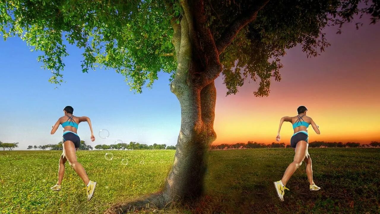 Fit go get