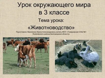 Сообщение о животноводстве 3 класс окружающий мир