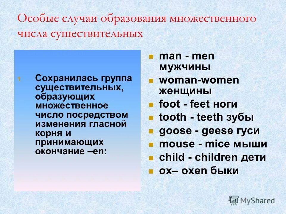 Порт во множественном числе. Особые случаи образования множественного числа существительных. Случай во множественном числе. Особые случаи образования множественного числа имен существительных. Tooth множественное число.