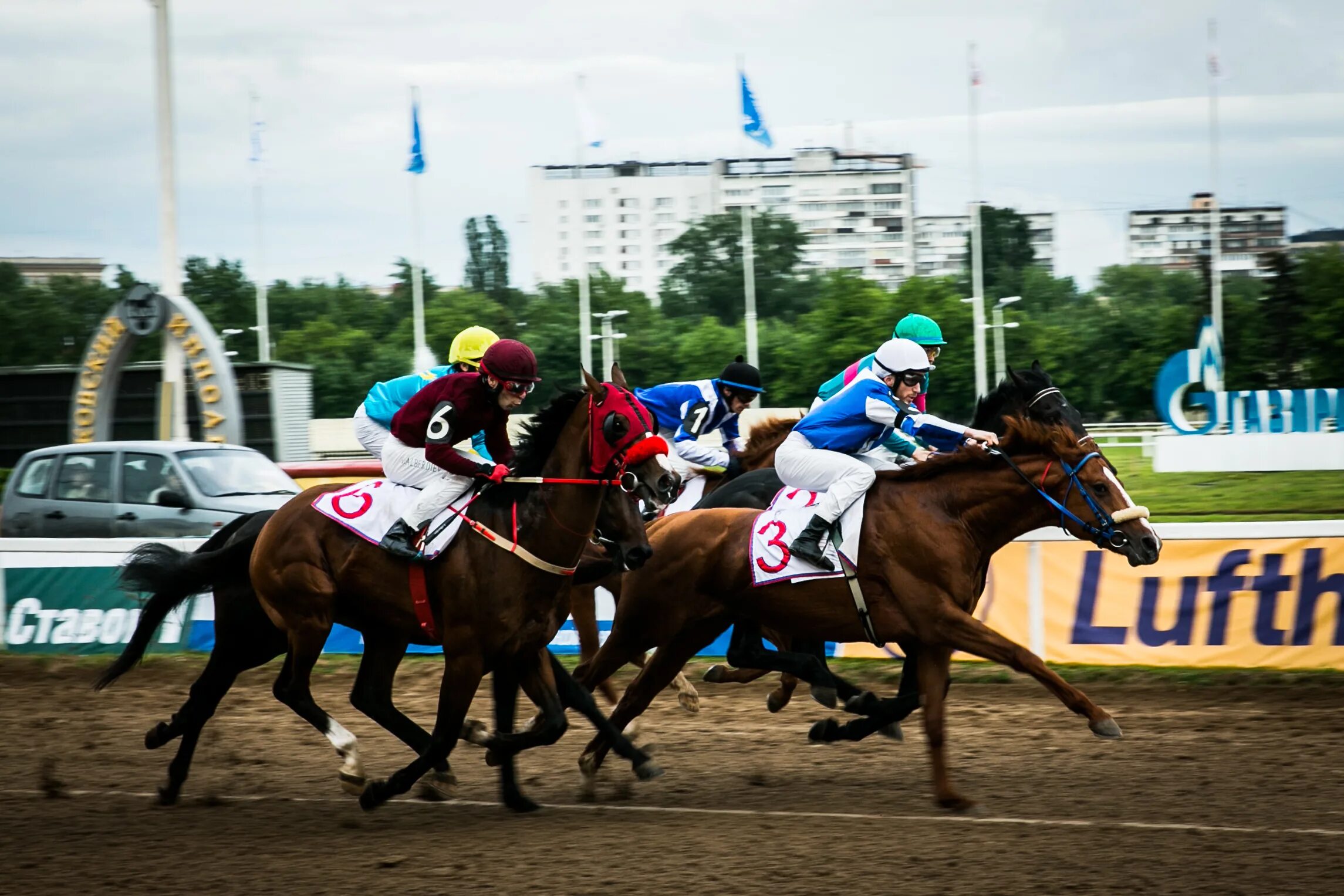 Московский ипподром скачки. Московский ипподром скачки. Московский ипподром скачки. Скачка москве. Скачки на приз президента 2008.