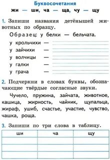 Задания на жи