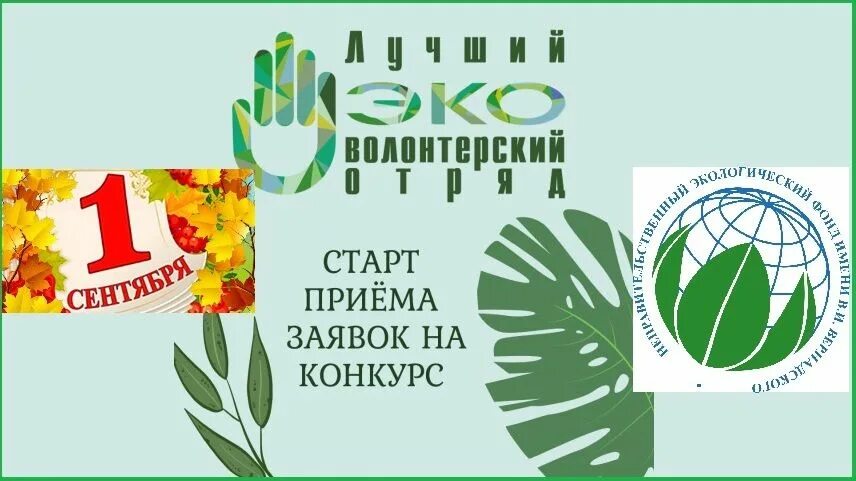 Конкурс сентябрь 2025. Конкурс лучший эковолонтерский отряд 2025. лучший эковолонтерский отряд 2025 года. лучший эковолонтерский отряд. логотип 5 всероссийского конкурса лучший эковолонтерский отряд.