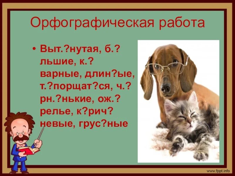 Сочинение описание животного 5. Описание животного 5 класс. Описание животного 5 класс русский язык. Описание животного 5 класс русский язык презентация. План сочинения описания животного 5 класс.