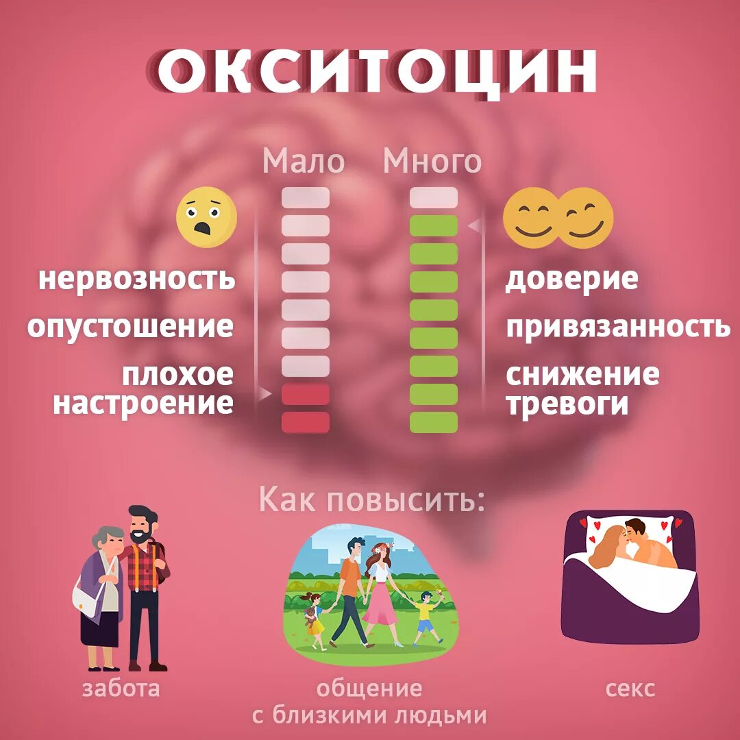 Гормоны женского либидо. Окситоцин гормон счастья. Продукты повышающие окситоцин. Гормон счастья вырабатывается. Гормон радости в еде.