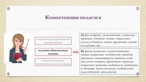 Профессионал опыт учителя