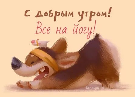 Картинки доброе утро животные смешные с надписями
