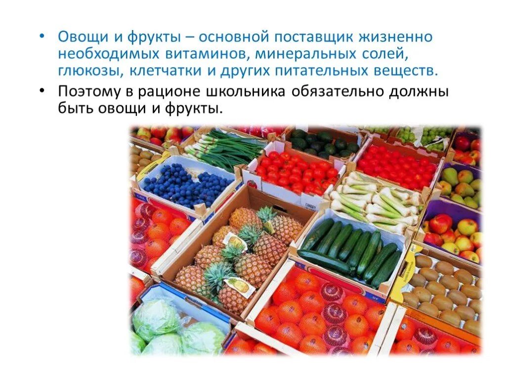 Жизненно необходимыми продуктами. Технология приготовления блюд из овощей и фруктов. Блюда из овощей и фруктов презентация. Поставщики овощи и фрукты. Технология приготовления блюд из овощей и фруктов 5 класс.