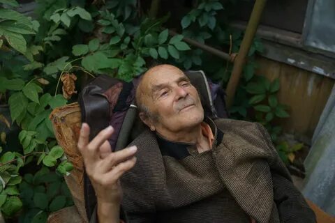 Давидович афоризмы