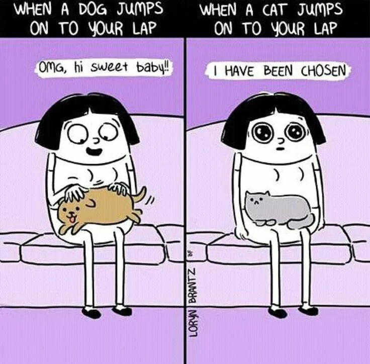 Части тела животного по английскому языку. Части тела животных на английском языке 5 класс с переводом. Перевод на англ помогите. Учебные предметы на английском языке с переводом. Переводчик с английского на русский язык.