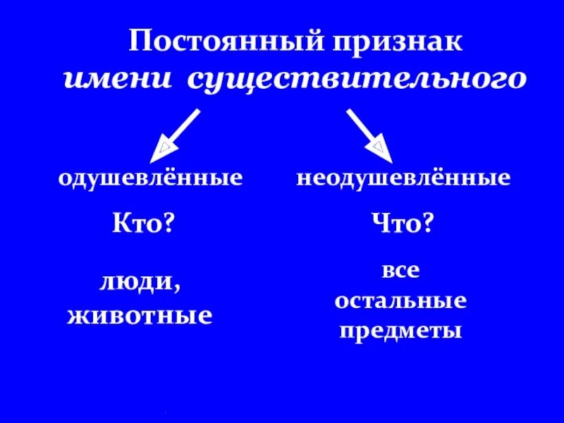 Общие признаки имен существительных. Постоянный признак имени существительного. признаки имени существительного. постоянный и непостоянный признак существительного. постоянные признаки имени существительного.