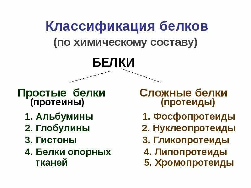 Белки сложные соединения. Классификация белков биохимия простые белки. Классификация белков сложные белки. Классификация белков протеины и протеиды. Классификация белков по составу протеины протеиды простые белки.