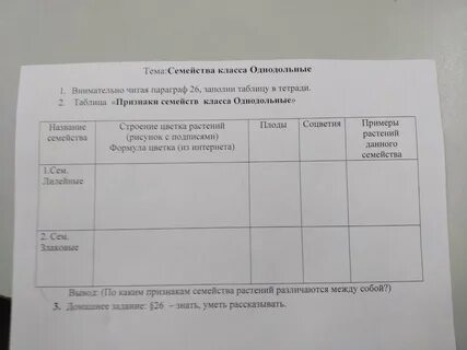 Таблица по биологии 6 класс параграф 4