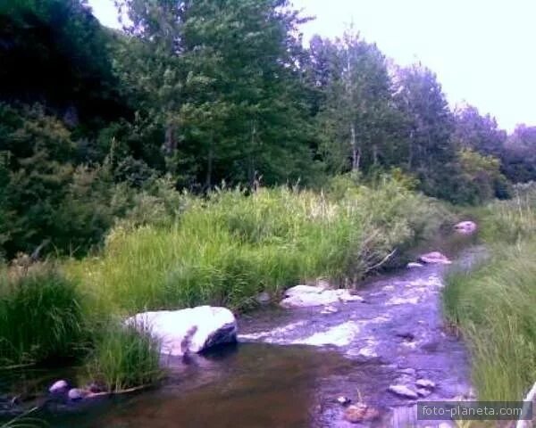 Кузнецово Курьинский район Алтайский край. Река поперечная Алтайский край Курьинский район. Село Кузнецово Курьинский район. Село Ивановка Алтайский край Курьинский район. Погода озерно кузнецово алтайского края