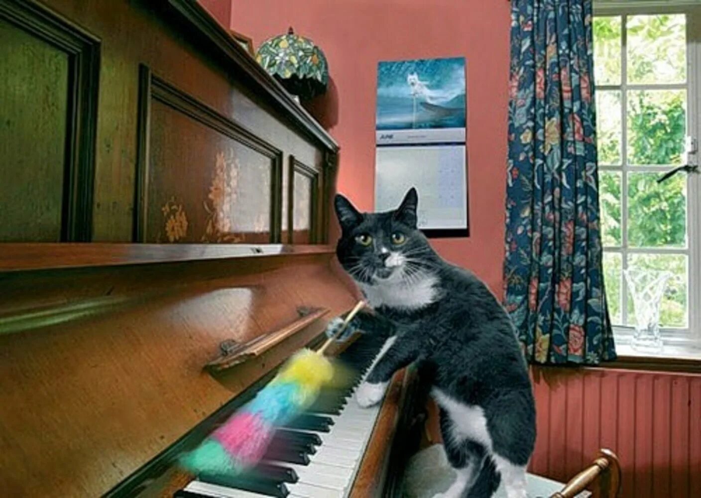 Дом который звучит музыка. Кот убирается. Кот убирается в доме. Кот подметает. Кошки убираются в доме.