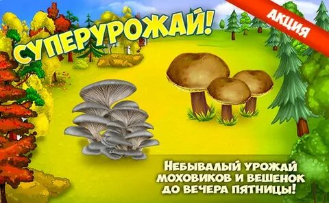 Грибы и кланы