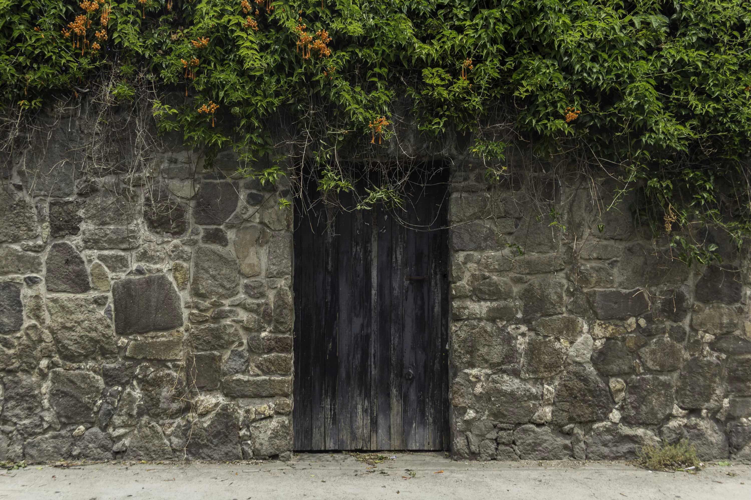 Откройте дверь руин. Старинная дверь. Старая каменная стена. Каменная стена в доме. Древняя дверь.