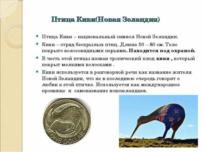 В честь какого животного названа