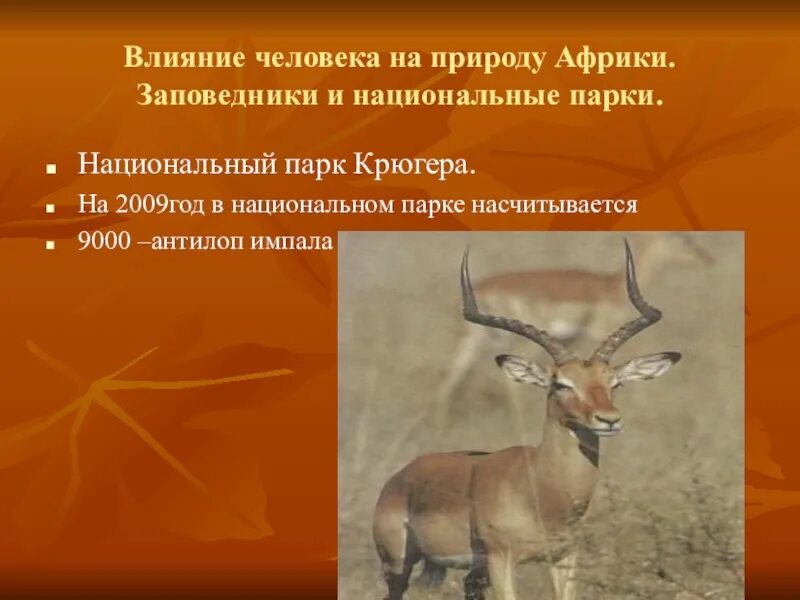 Африка влияние на природу. Влияние человека на природу Африки. Влияние человека на природу заповедники Африки. Влияние человека на природу заповедники и национальные парки. Заповедники Африки.