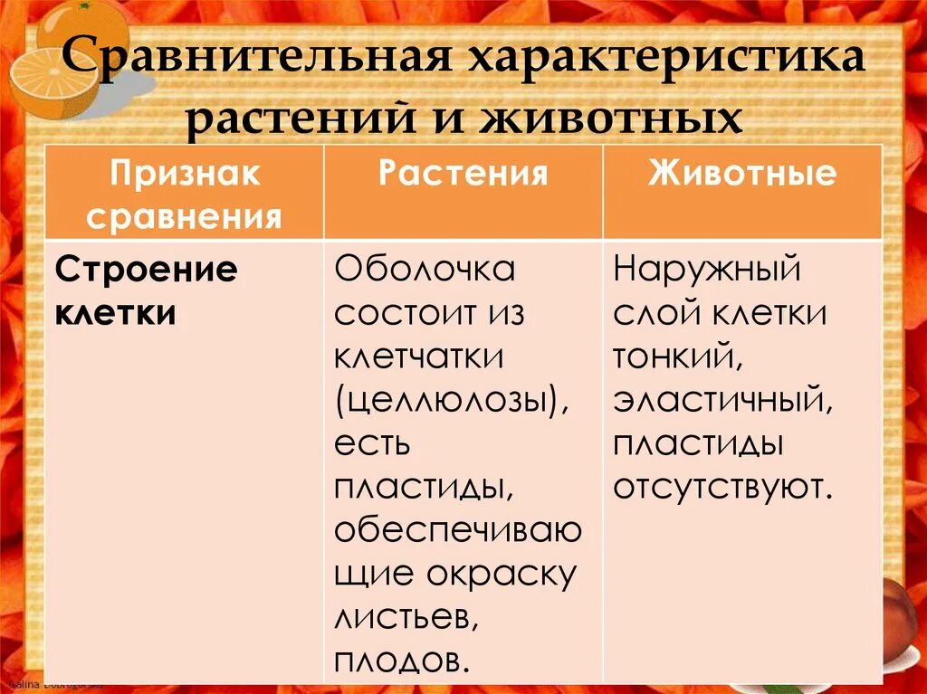 Признаки сравнения растений. Сравнительная характеристика растений и животных. Сравнительная характеристика растений. Сравнительная характеристика растения животные. Сравнение характеристика растений и животных.