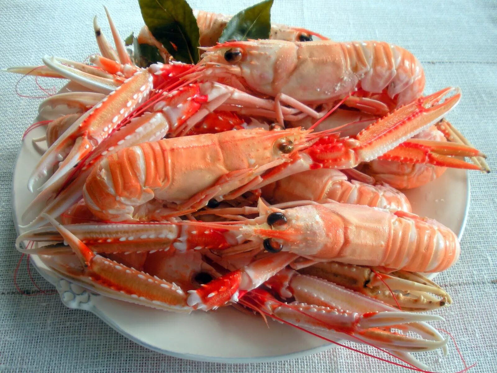 креветки камаронес. креветки королевские 900гр. угольные креветки leth. омар скампи. креветки очищенные.