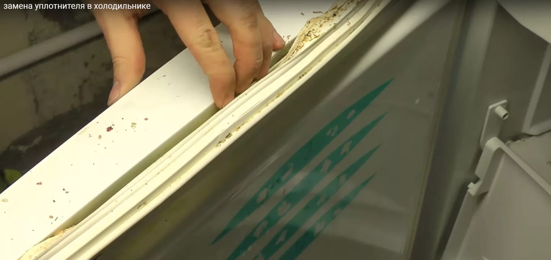 Уплотнитель для холодильника как заменить beko Замена резинового уплотнителя холодильника в Санкт-Петербурге: вызов мастера