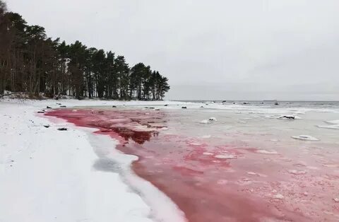 Кровавое море