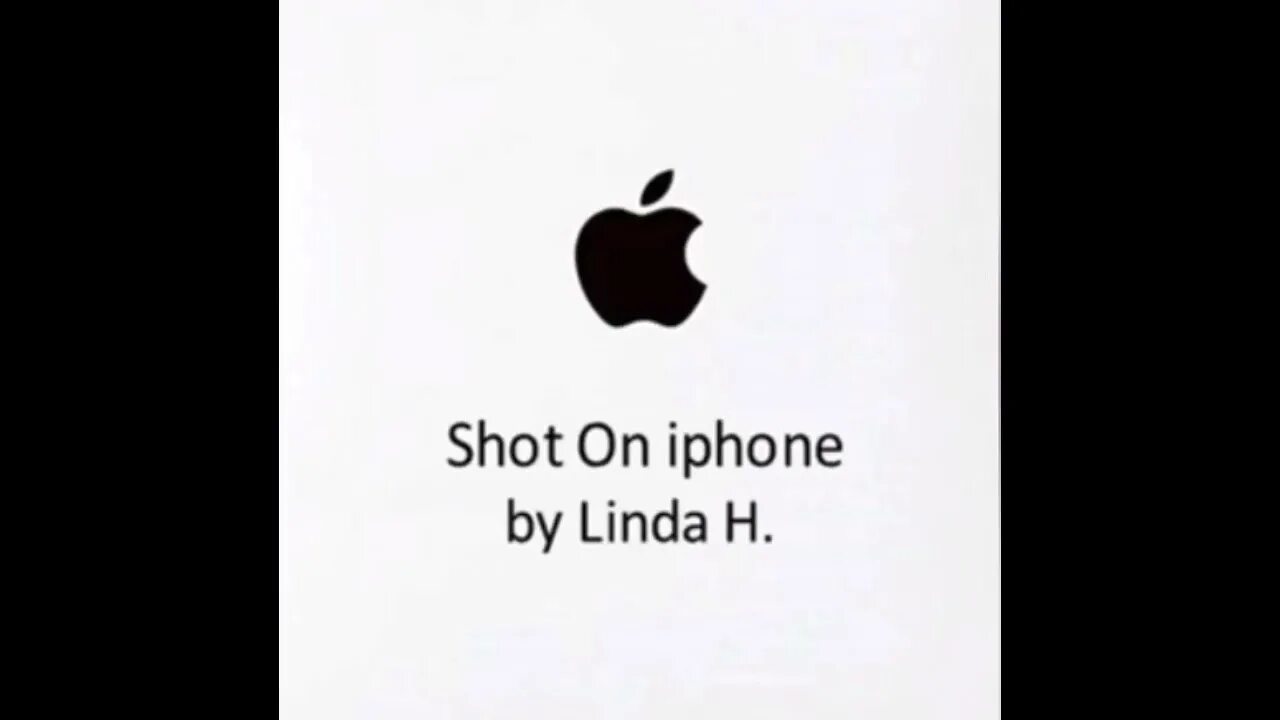 Shot on iphone by Linda h.. By Linda h. Shot телеграм. Shot on iphone meme by Linda h. Хочу новый айфон песня