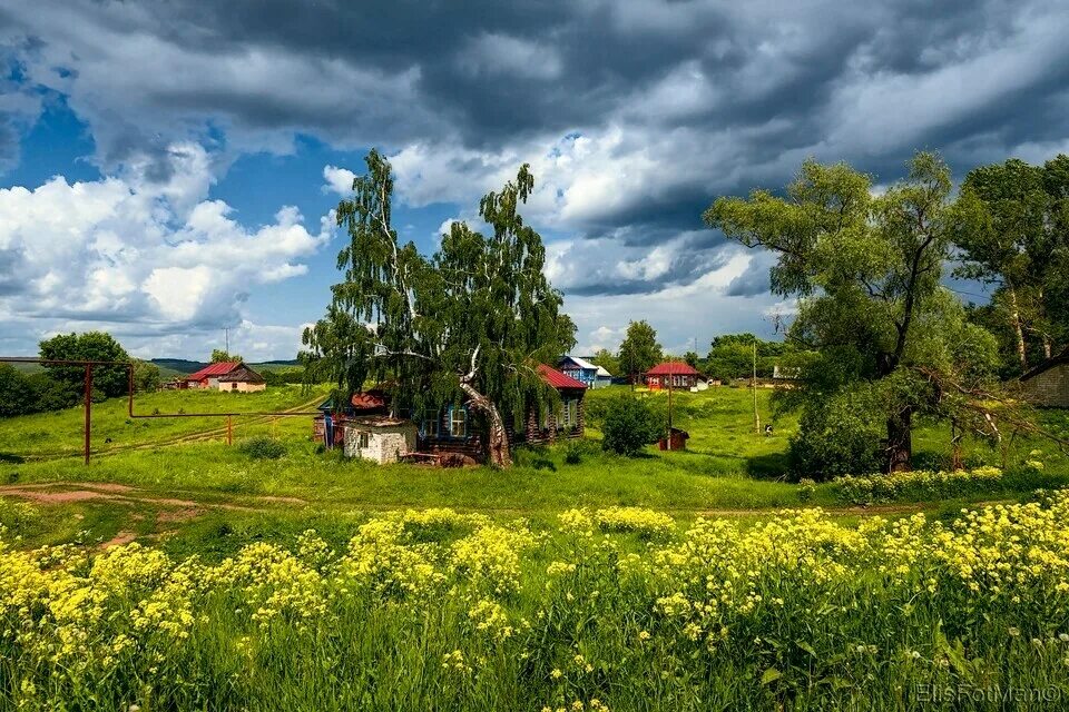 Где сельская местность. Деревня Мегра Вологодская пейзаж. Белгород природа деревня. Лето в деревне. Деревенский пейзаж.