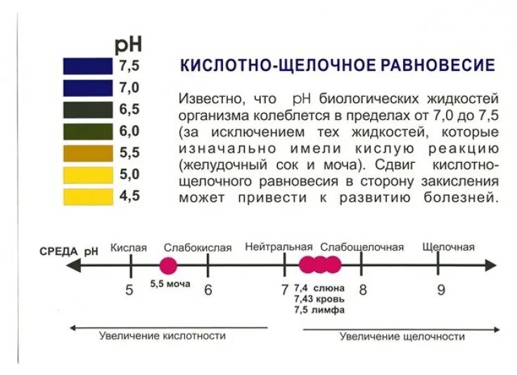Какую реакцию в организме дает