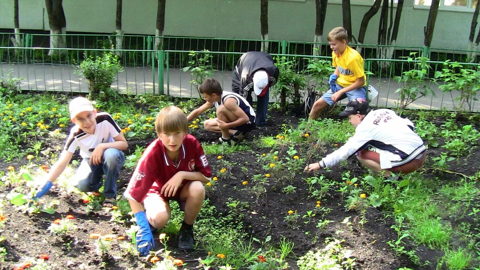 Практика в школе во время. Дети на пришкольном участке. Пришкольный участок. Пришкольный участок в школе. Летняя практика в школе.