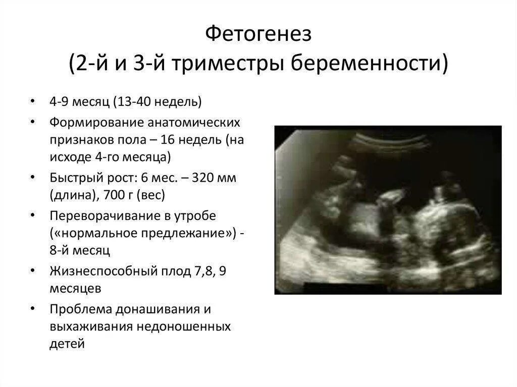 Если в триместре 4 4 3. 2-3 Недели беременности симптомы. Симптомы при беременности 3-4 недели. Беременность 4 недели симптомы. Симптомы беременности на 3 недели.