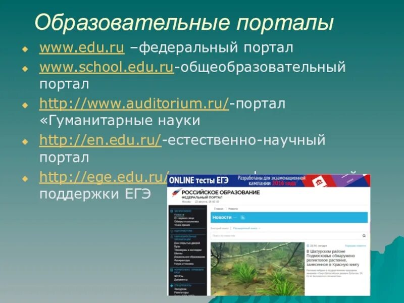 Edu ru информатика. Образовательный портал. Образовательные интернет порталы. Ресурсы образовательного портала это. Примеры образовательных порталов.