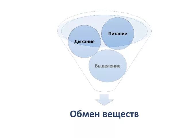 Питание дыхание. Обмен веществ дыхание. Выделение обмен веществ. Питание, обмен веществ, выделение. Питание дыхание движение