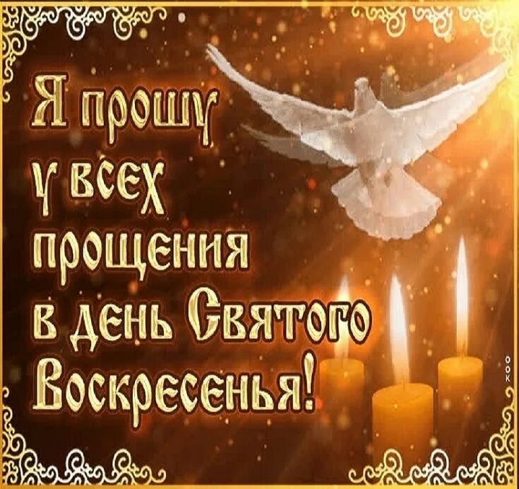 Я прошу прощения. Я прошу у вас прощения манхва. Прошу прощения в прощенное воскресенье. Я прошу у вас прощения манхва. Я прошу у вас прощения манхва.